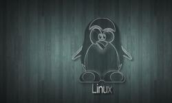 Featured image of post Linux >/dev/null 2>&1 命令使用说明
