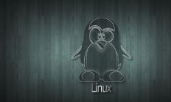 Featured image of post Linux >/dev/null 2>&1 命令使用说明