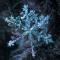JavaScript  飞雪特效