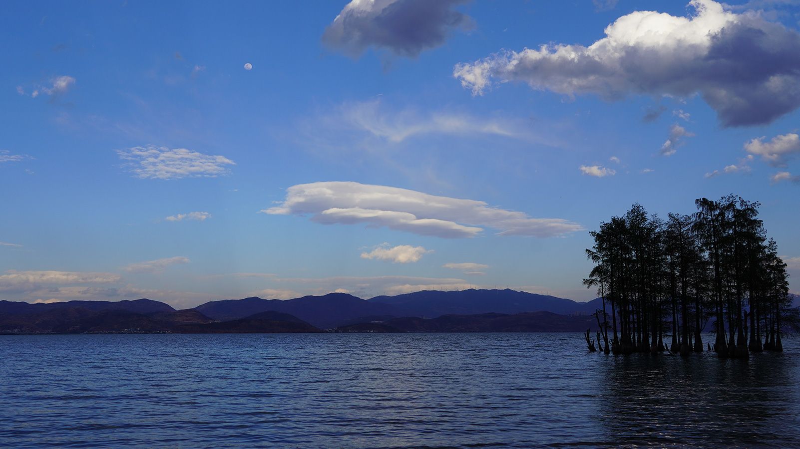 Featured image of post 如何接手并维护一个项目