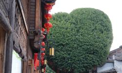 Featured image of post 游记 福建 5天4夜 蜜月旅行